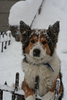 NYC Blizzard of 2006 : 